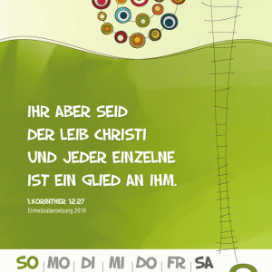 kratzart kleinehimmelsleiter2026 web seite 11